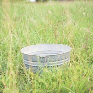 Metal wash tub in tall grass Digital image