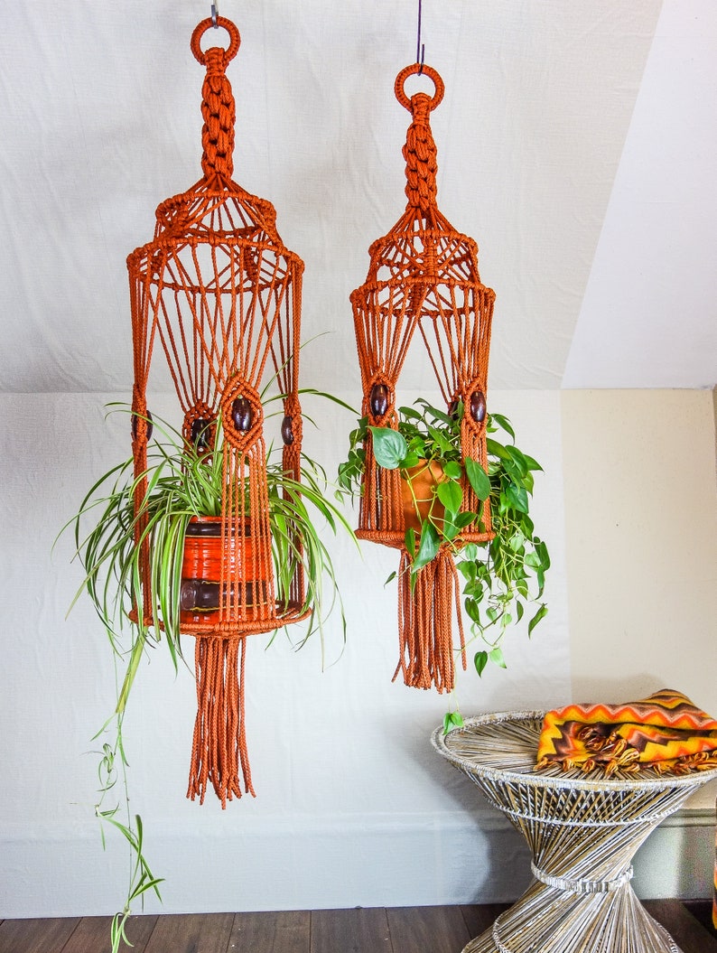 May include: Two macrame plant hangers with terracotta pots and green plants hanging from the ceiling. The plant hangers are made of thick, orange cord and have a decorative fringe at the bottom.