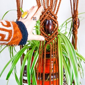 May include: A brown macrame plant hanger with a wooden bead at the bottom. A green plant with white stripes is hanging in the pot.