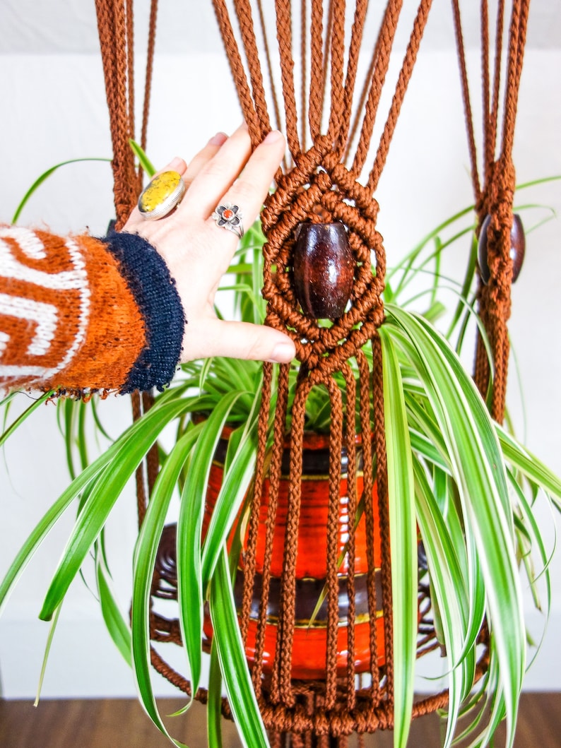 May include: A brown macrame plant hanger with a wooden bead at the bottom. A green plant with white stripes is hanging in the pot.
