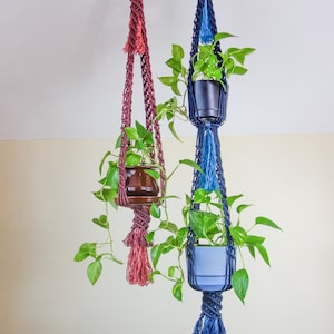 May include: Two macrame plant hangers with pots and plants. The left hanger is red with a brown pot and the right hanger is blue with a white pot and a blue pot.