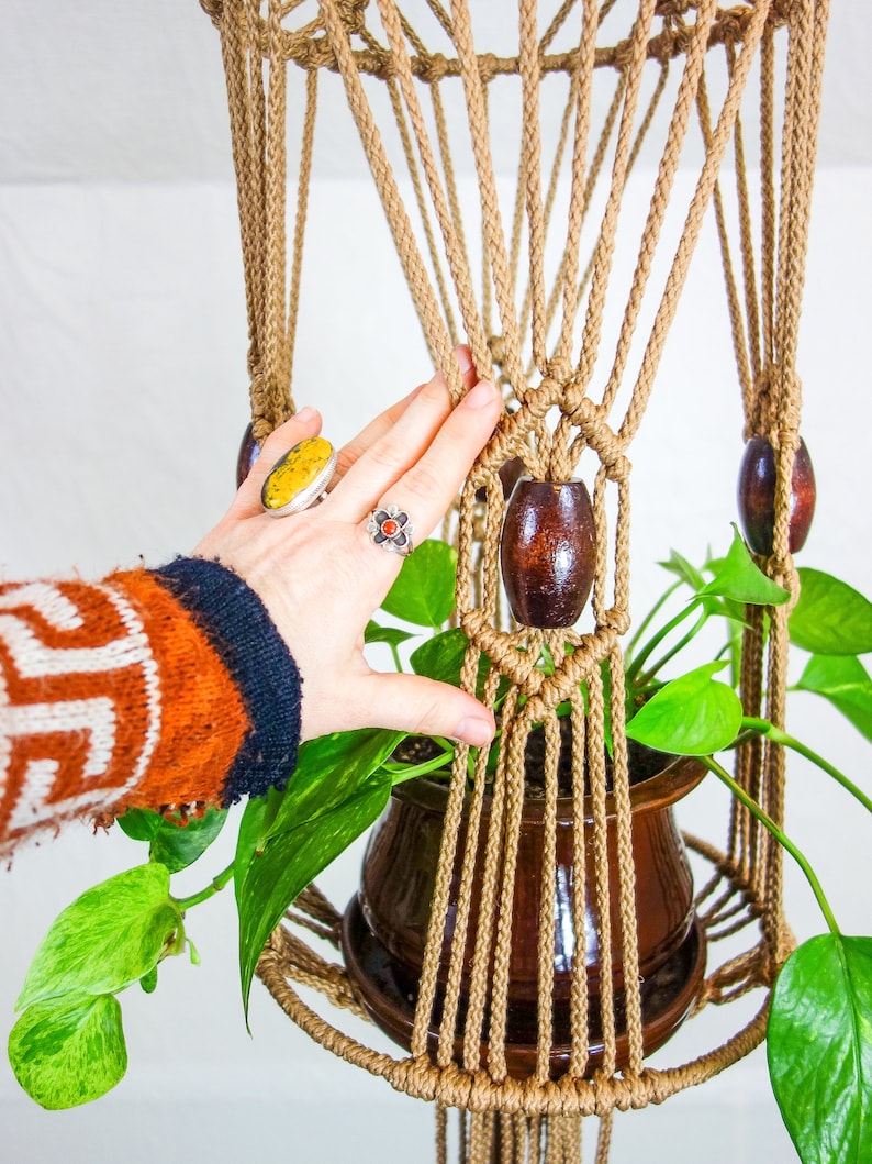 May include: A macrame plant hanger with a brown pot and green plant. The hanger is made of natural rope and has wooden beads.