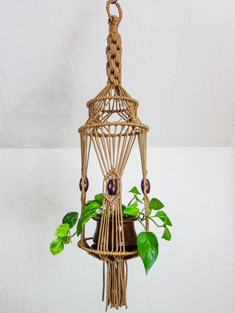 May include: A macrame plant hanger with a brown pot and green plant. The hanger has wooden beads and a fringe at the bottom.