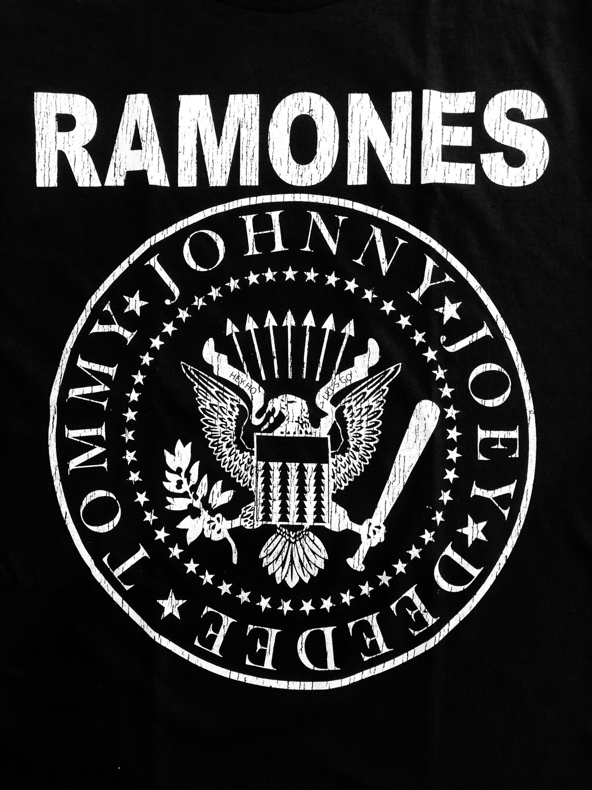 Discover Ramones T-Shirt, Punk rock T-Shirt, Band T-Shirt