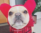 Frenchie dog hats deals