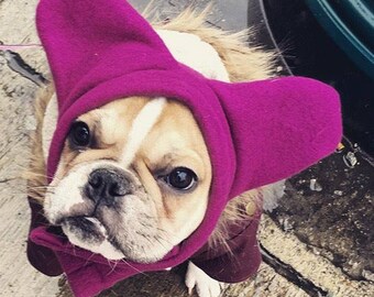 French bulldog ear hat online