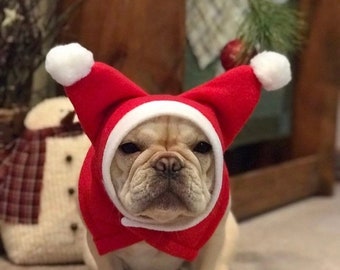 Sombrero SANTA Frenchie