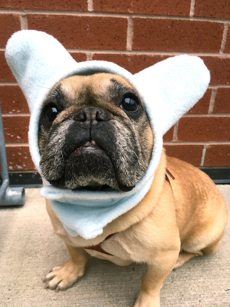 Frenchie Hats / Dog Hats / French Bulldog Hats Etsy