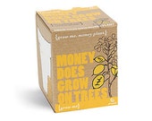 Grow me 39 money tree 39 seeds