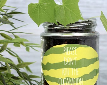 Personalised 'Don't Kill Me' Mini Melons Jar Grow Kit