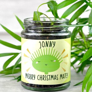 May include: A glass jar with a green plant growing inside. The jar has a yellow label with the text "Jonny Merry Christmas Matey" and a cartoon green sun with a smiling face.