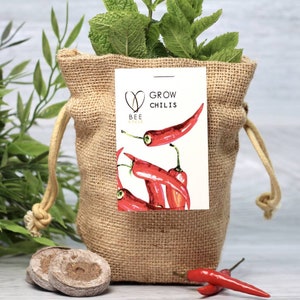 May include: A hessian bag with a drawstring, containing a plant with green leaves. A tag reads "GROW CHILIS" with a chili pepper illustration. Two seed starting discs and a few red chili peppers are in front of the bag.