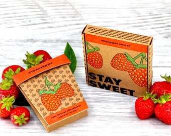 Stay Sweet Strawberry Grow Pot Kit