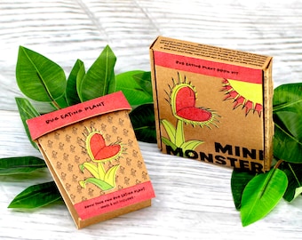 Kit de pote de cultivo Mini Monster Venus Fly Trap