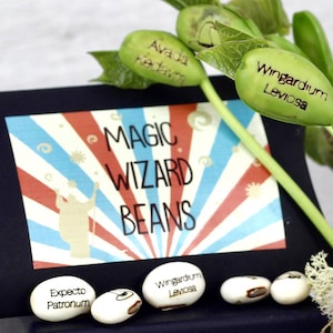 May include: White beans with black lettering, labelled "Wingardium Leviosa", "Expecto Patronum", and "Avada Kedavra". The beans are on a black surface with a sign that reads "Magic Wizard Beans" in red, white, and blue.