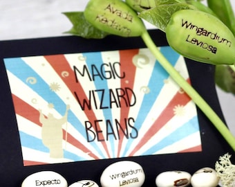 Magic Wizard Bean Grow Set