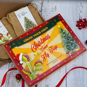 Grow Christmas Venus Fly Trap Gift
