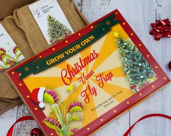 Grow Christmas Venus Fly Trap-cadeau