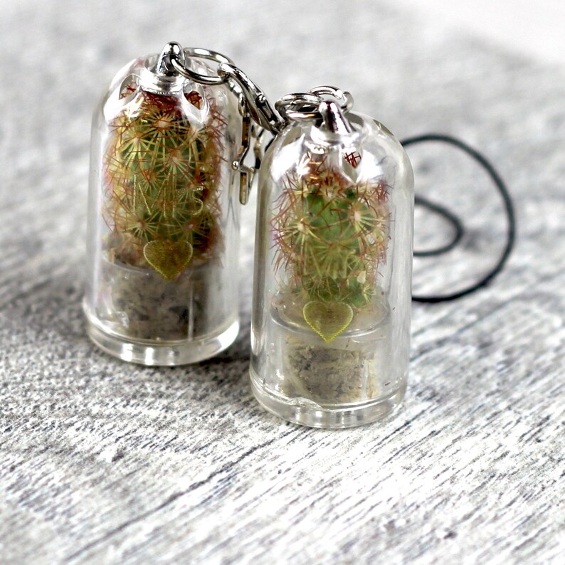 Personalised Mini Terrarium Cactus Keychain Etsy