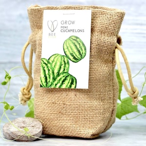 Puede incluir: Una bolsa de arpillera con una etiqueta que dice "Grow Mini Cucamelons" y una imagen de cucamelones verdes. La bolsa está atada con una cuerda marrón y hay un pequeño iniciador de semillas redondo y gris al lado.