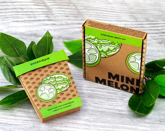 Mini Melons Cucamelon Grow Pot Kit