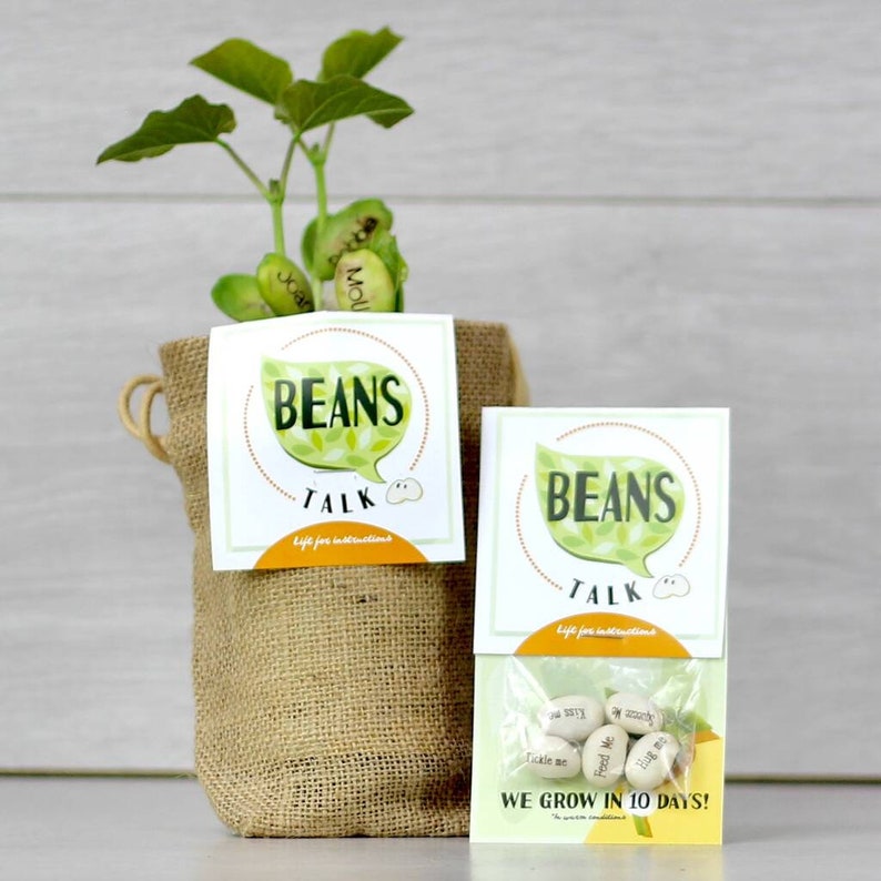 Pack Of Five Message Beanstalk Seeds image 6