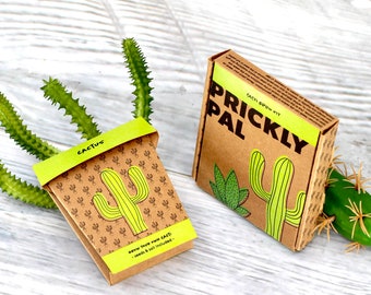 Prickly Pal Cactus Grow Pot Kit
