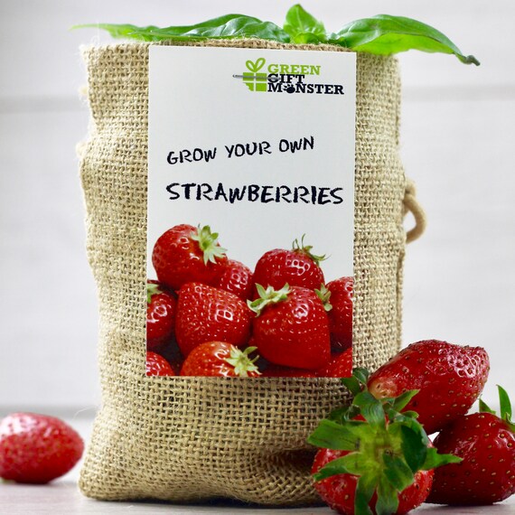 Erdbeeren Jute Wachsen Geschenk Set Etsy