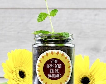 Personalised 'Don't Kill Me' Sunflower Jar Grow Kit