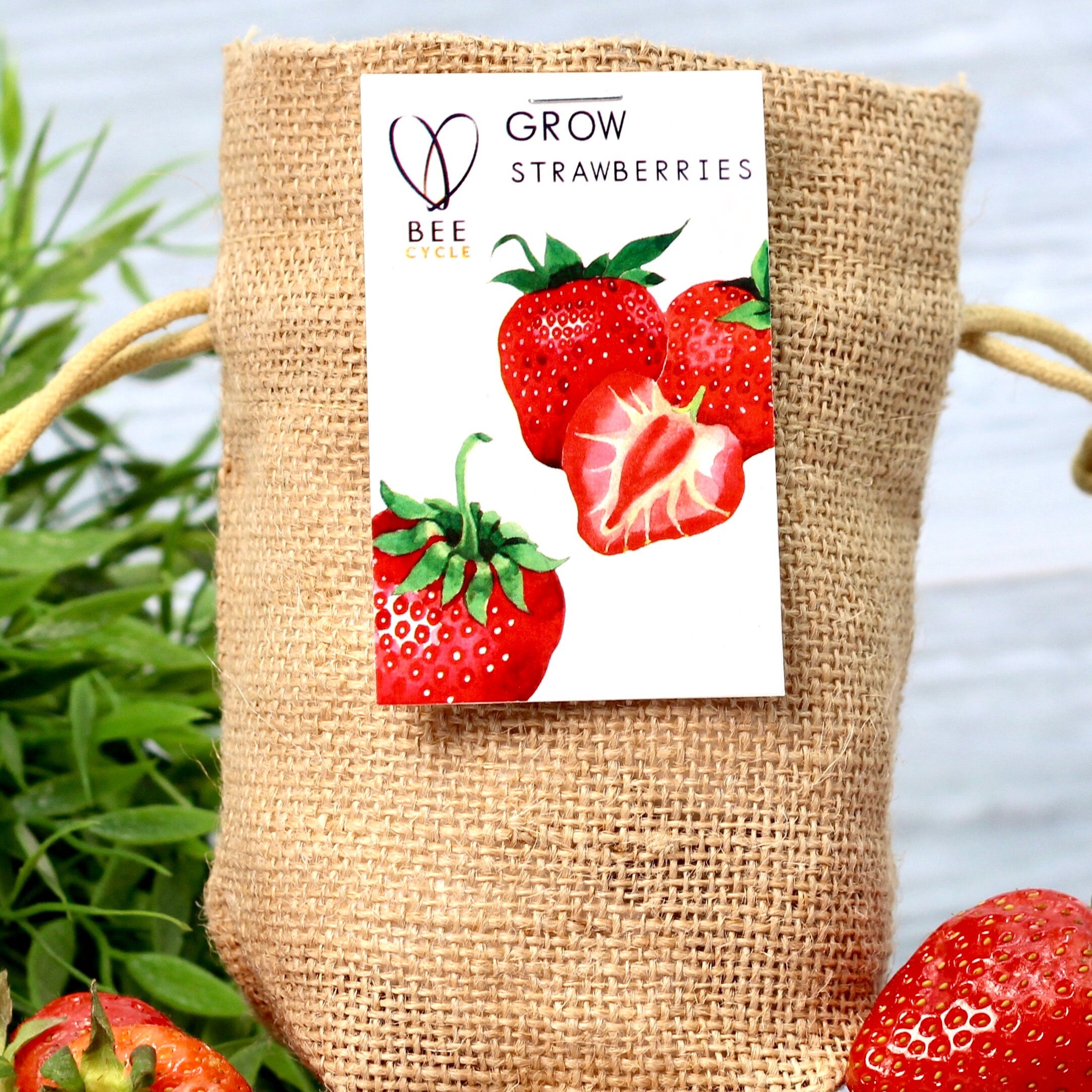 Lot De 2 Sacs De Culture Pour Fraises à Suspendre En Tissu Non Tissé