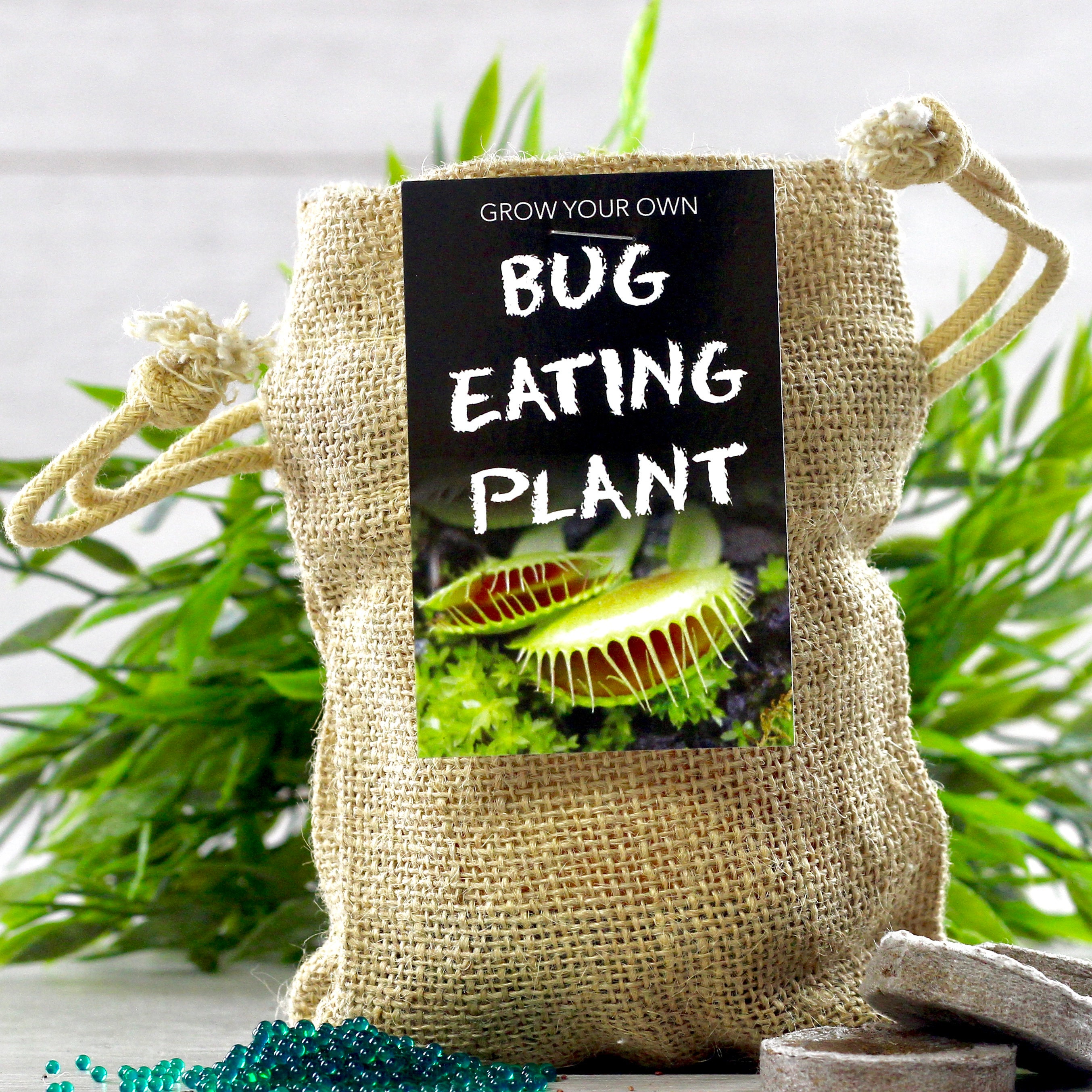 Grow your own Bug Eating Plant jute bag Etsy