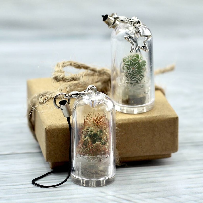 Personalised Mini Terrarium Cactus Keychain Etsy UK