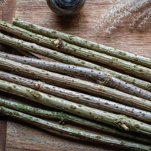 10 Elderberry wands, Elder Twigs, Sambucus Nigra, Wood Stick, Craft Supply, Home Decor