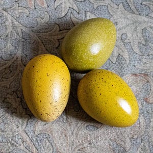May include: Three decorative eggs in shades of yellow and green rest on a floral patterned fabric. Two eggs are yellow with speckled details, while the third is a solid green colour. The fabric has a blue and pink floral design.