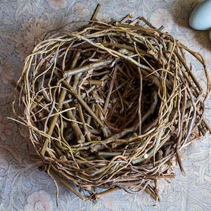 May include: A handcrafted bird's nest made of interwoven twigs, accompanied by two pale blue eggs and a brown feather. The nest is circular, with a hollow center, and sits on a patterned surface. A rustic, natural theme.
