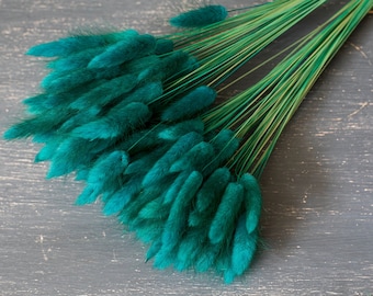 Turquoise Dried Bunny Tails: Natural Lagurus Bouquet Filler (50 Stems, 45-50cm Length)