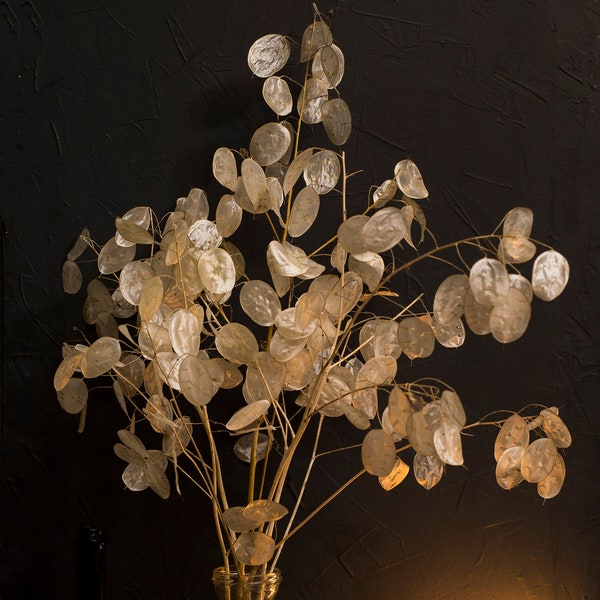 5 Natural Pearl Lunaria stems 20-24" long Silver dollar leaves Dried Money plant  Honesty Winter wedding decor Autumn Winter centerpiece