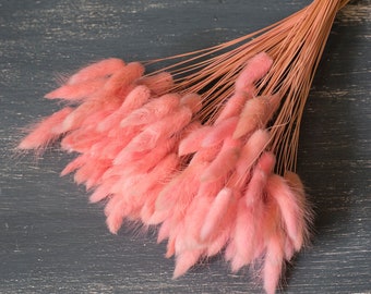 Code di coniglio rosa essiccate: riempitivo naturale per bouquet di fiori Lagurus (50 steli, lunghezza 45-50 cm)
