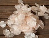 300 hand painted BLUSH PINK Lunaria pearl confetti Lunaria CRAFT Winter wedding decor Winter confetti Vase filler