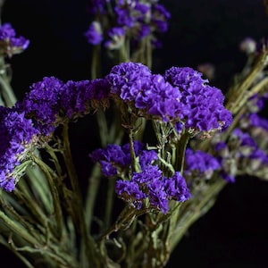 Dark Purple Dried Statice Flower Bunch: Rustic Farmhouse Decor