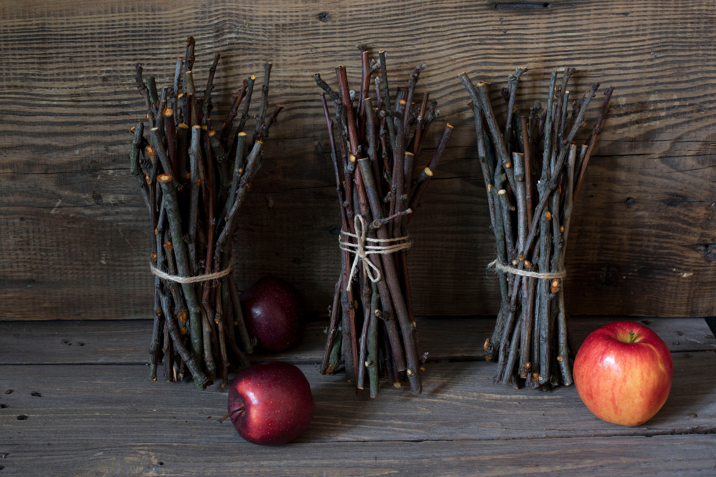 Apple tree branches Bunch of Real natural branches Organic Etsy