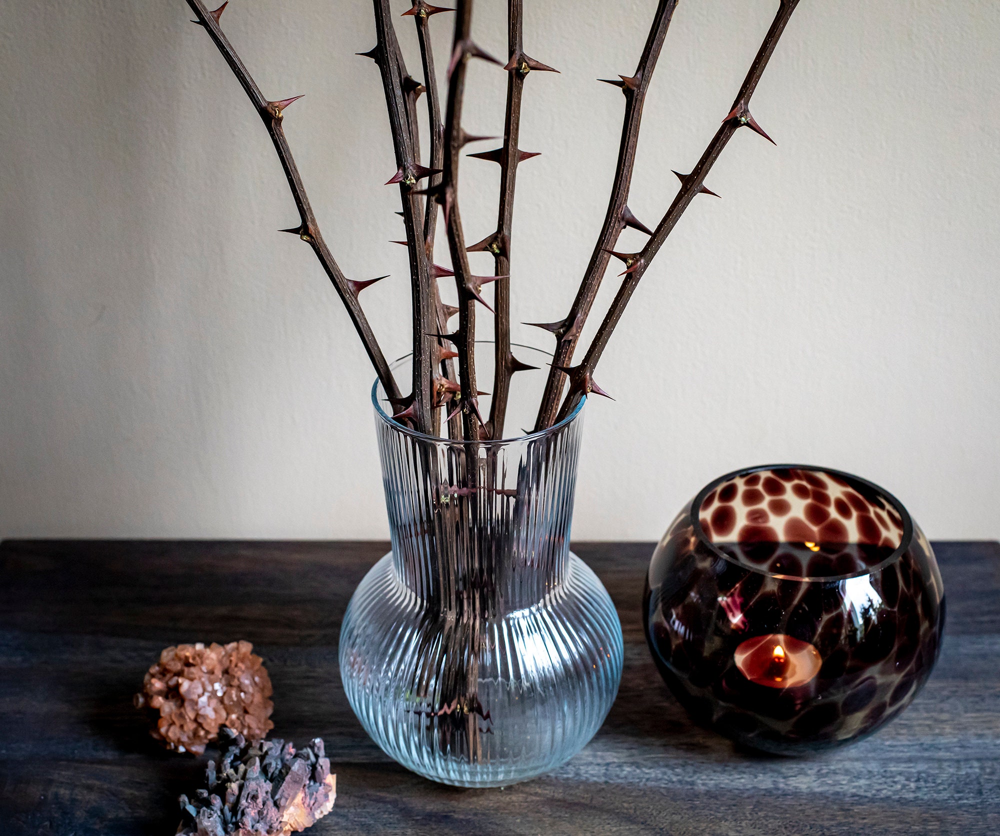 Thorn Branches, Dried Rose Stems for Vases and Home Decor, Branches, Dried  Flowers, Sticks, Vase Decor, Thorns, Easter, Valentines Day 