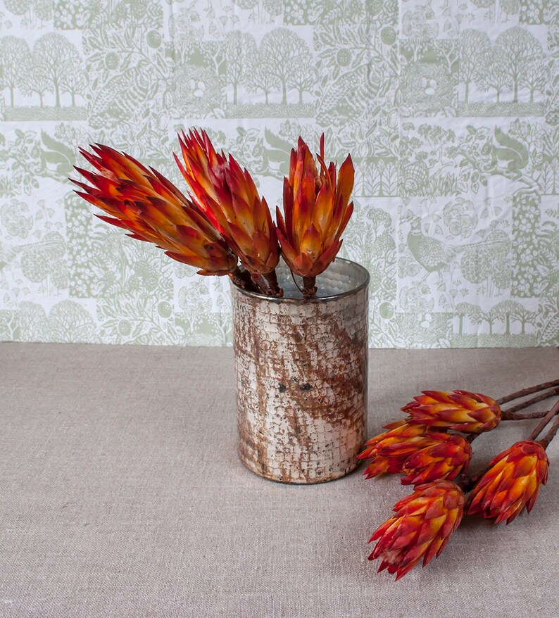Bunch of 4 red Protea Dried Stems Exotic dried flowers