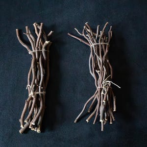 Curly Twigs Set: Natural Twisted Branches Robinia 'Tortuosa' for Floral Decor