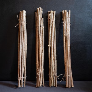 10 Elderberry wands, Elder Twigs, Sambucus Nigra, Wood Stick, Craft Supply, Home Decor