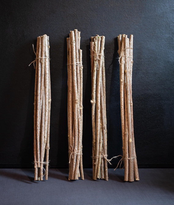 10 Elderberry wands, Elder Twigs, Sambucus Nigra, Wood Stick, Craft Supply, Home Decor