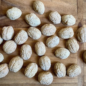 Könnte beinhalten: Draufsicht auf zahlreiche ganze Muskatnüsse, oval geformt mit strukturierter Oberfläche und hellbrauner Farbe, auf einer warmbraunen Holzoberfläche verstreut.