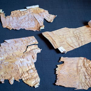 Natural thin like a paper birch bark sheets   for craft Birch  Rustic decoration supply