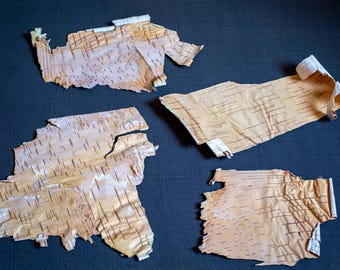 Natural thin like a paper birch bark sheets   for craft Birch  Rustic decoration supply
