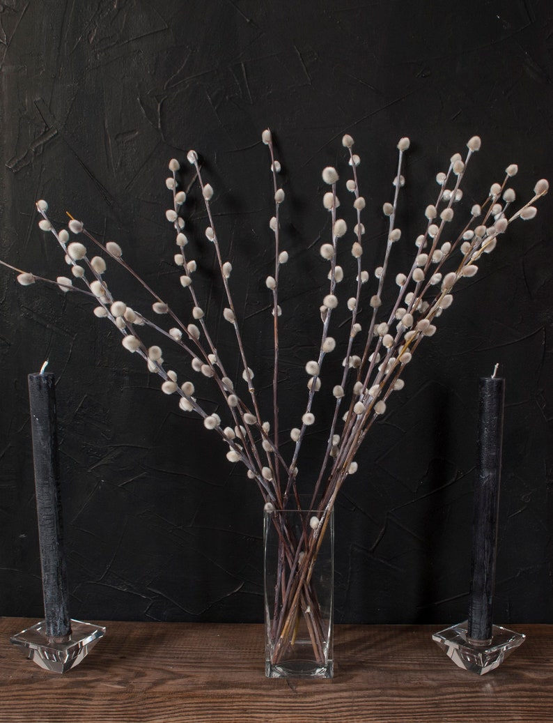 25 Dried Pussy Willow Branches 15 8 Twigs With Catkins Spring